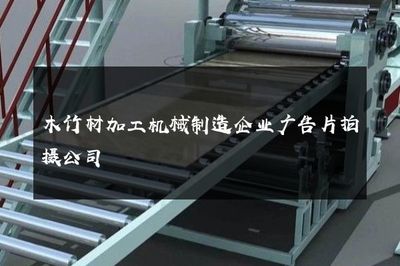 智造未來(lái)，共筑綠色家園——專(zhuān)業(yè)木竹材加工機(jī)械制造企業(yè)廣告片拍攝服務(wù)
